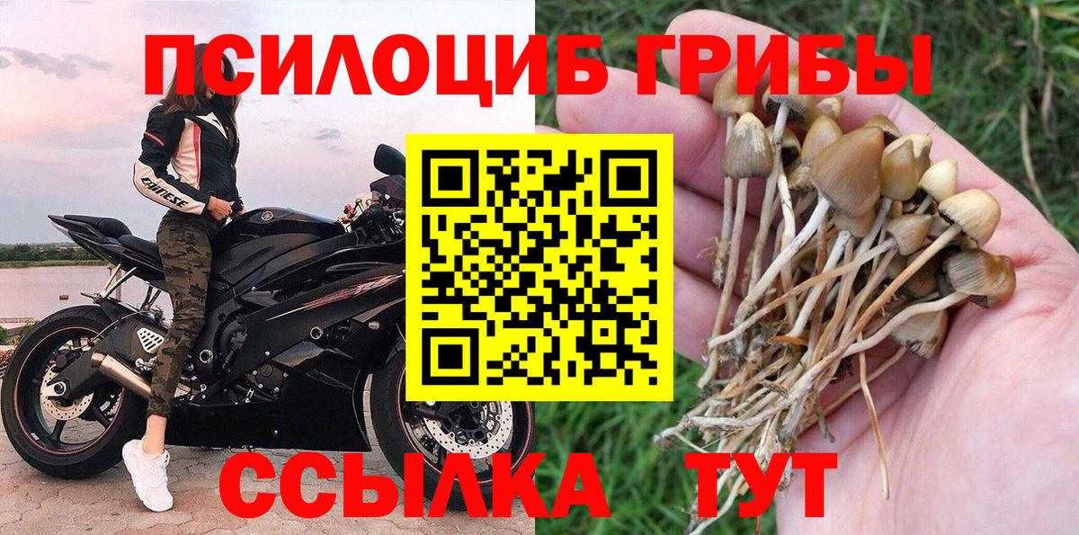 Галлюциногенные грибы мицелий  Вход с VPN  Черкесск 